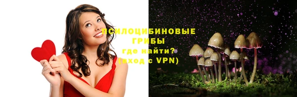 стафф Баксан