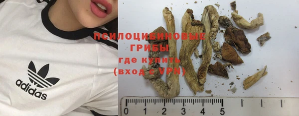 стафф Баксан